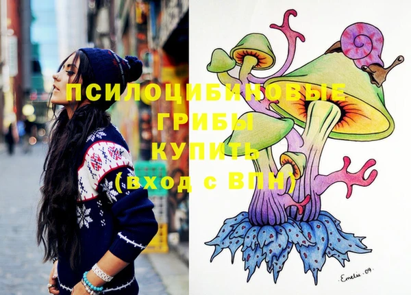 марки lsd Абаза